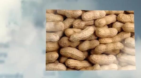 Video: FACI Got Food Allergies?
